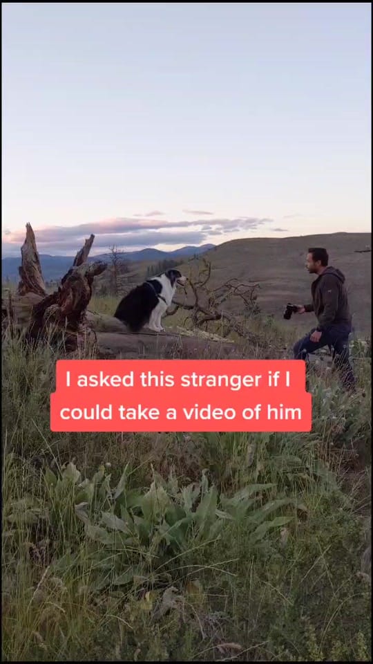 Post 9 by Ryan French on TikTok (video)