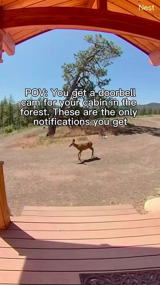 Post 1 by Ryan French on TikTok (video)