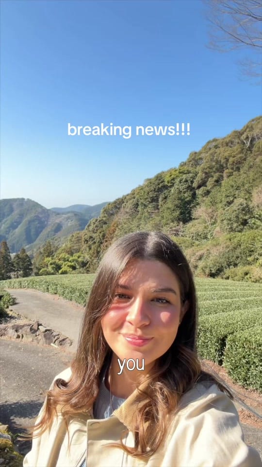 Post 3 by sweetportfolio on TikTok (video)