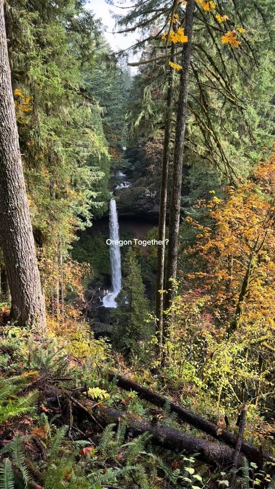 Post 9 by Savy | Travel on TikTok (video)