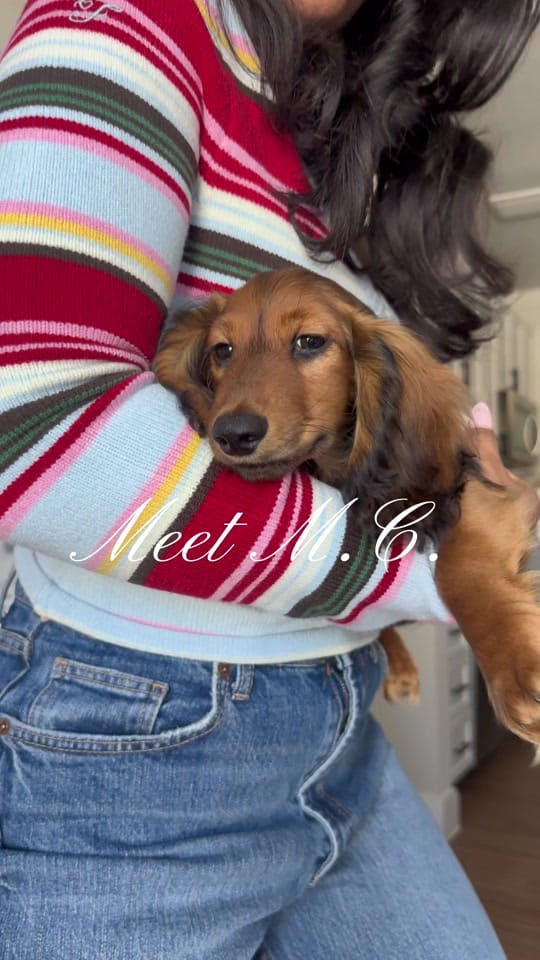 Post 1 by Brooklynn Mullins on TikTok (video)