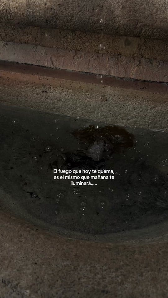 Post 10 by Daniella De Alvarez on TikTok (video)