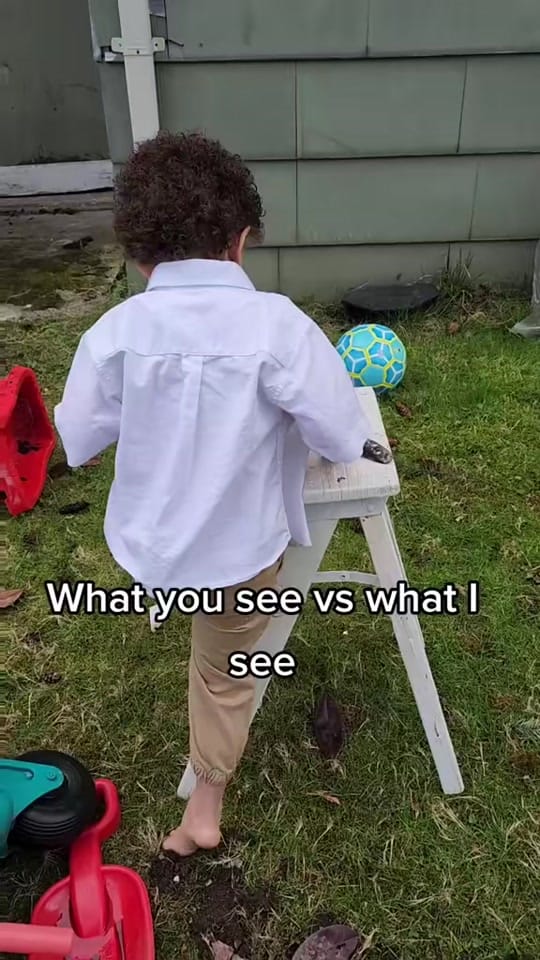 Post 2 by Brook Birth Photog PNW on TikTok (video)