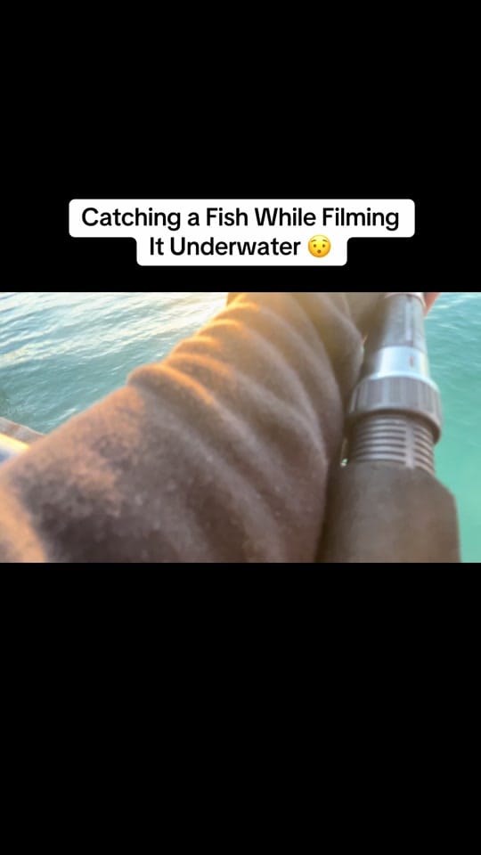 Post 1 by Georgia Kay on TikTok (video)