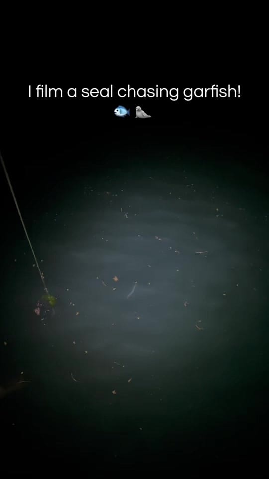 Post 6 by Georgia Kay on TikTok (video)