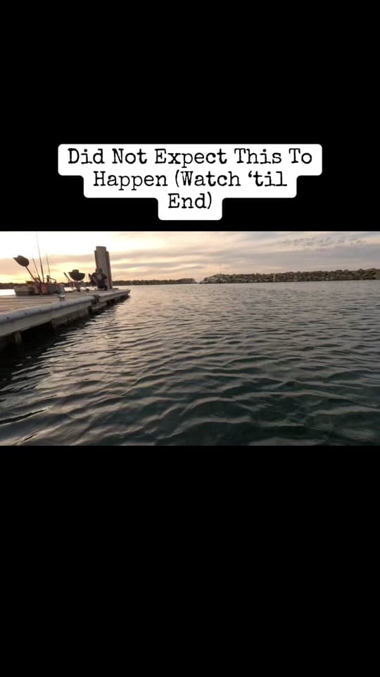 Post 9 by Georgia Kay on TikTok (video)