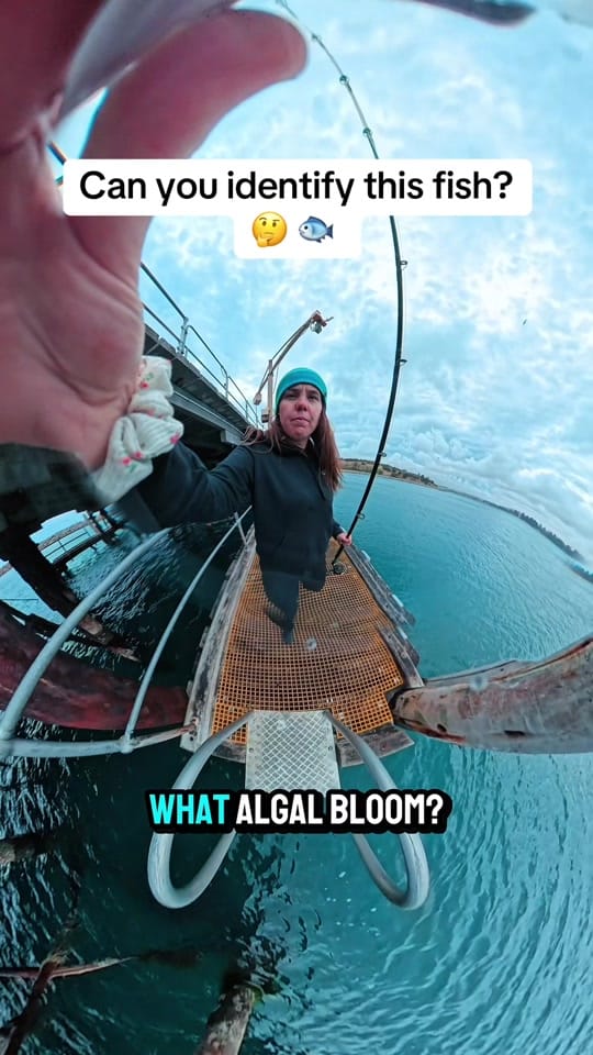 Post 5 by Georgia Kay on TikTok (video)