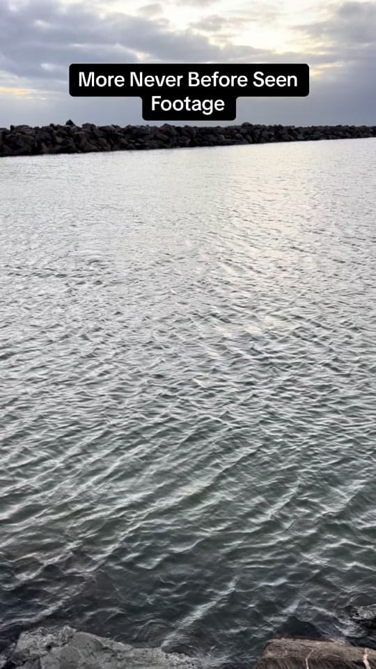 Post 8 by Georgia Kay on TikTok (video)