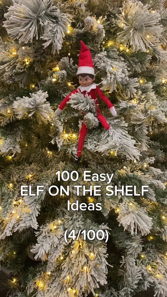 Post 10 by Ana from Florida on TikTok (video)