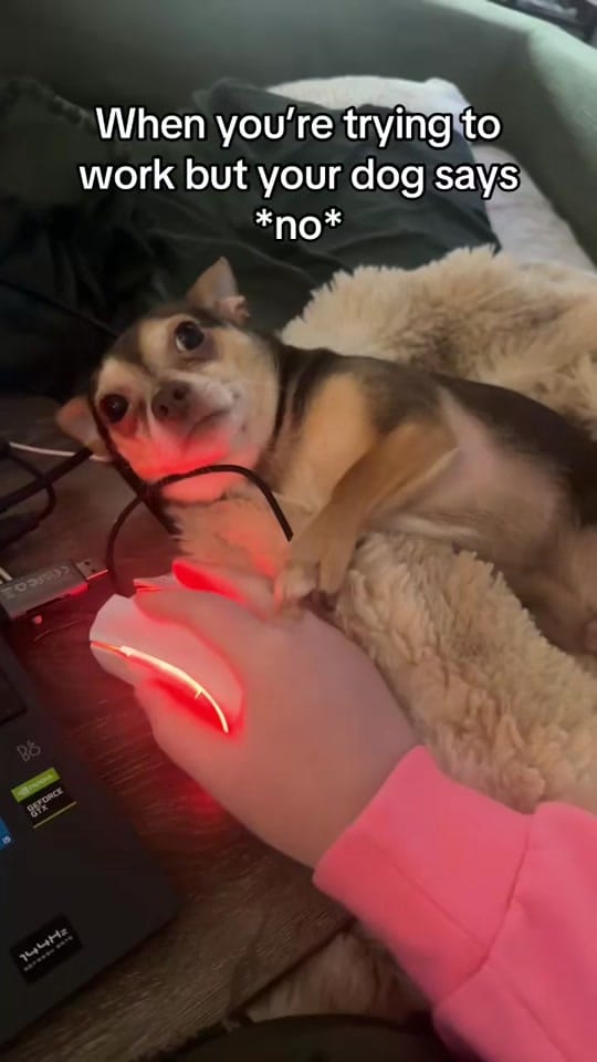 Post 7 by Trisha Putt on TikTok (video)