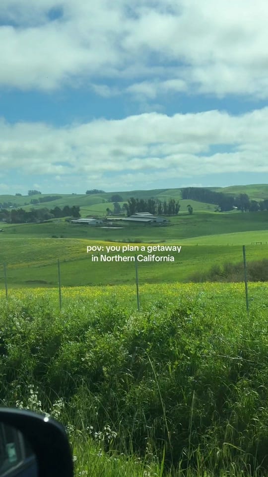 Post 2 by Ally Chen • San Francisco on TikTok (video)