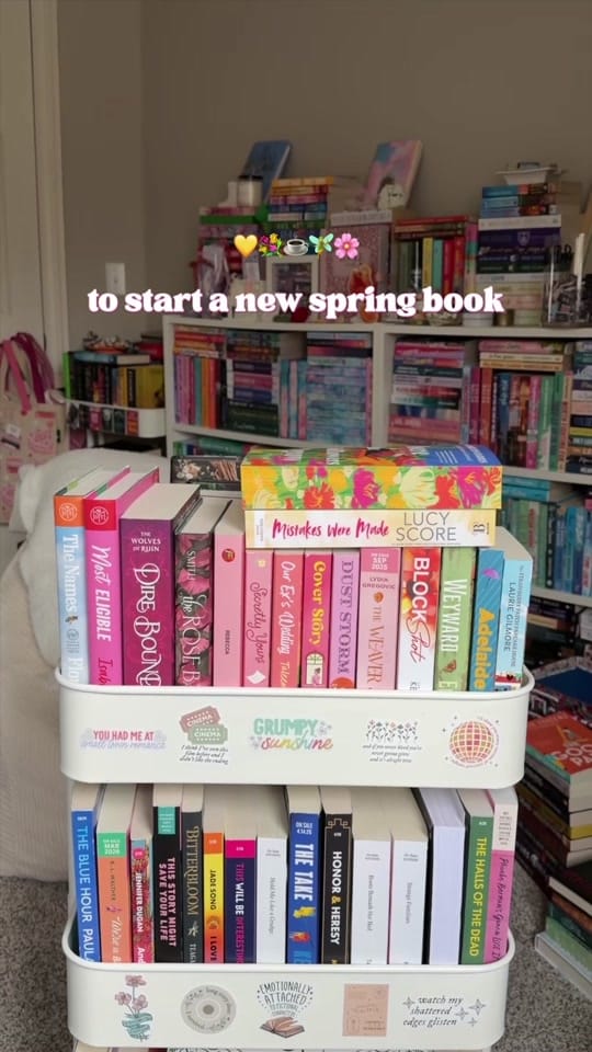 Post 4 by Susan Carolynn on TikTok (video)