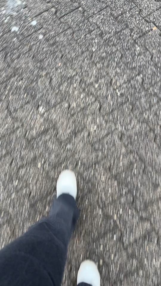 Post 2 by Ashton Homestead |🇺🇸in🇩🇪 on TikTok (video)