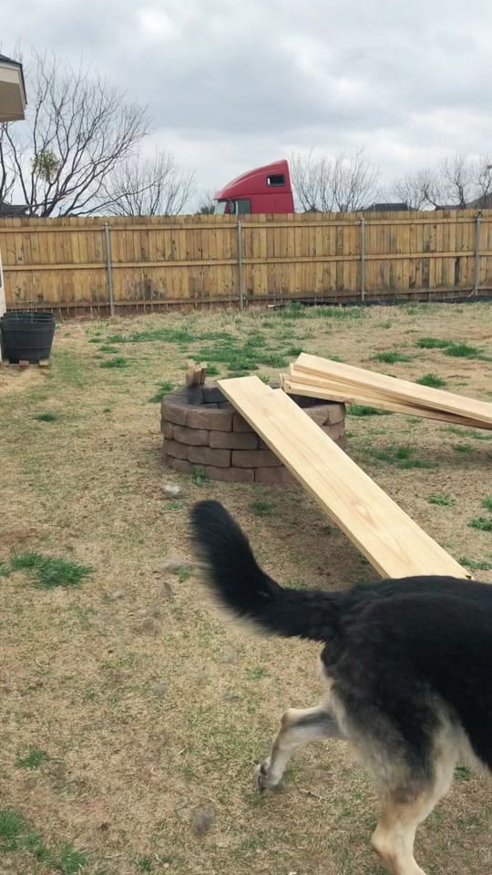 Post 10 by Ashton Homestead |🇺🇸in🇩🇪 on TikTok (video)