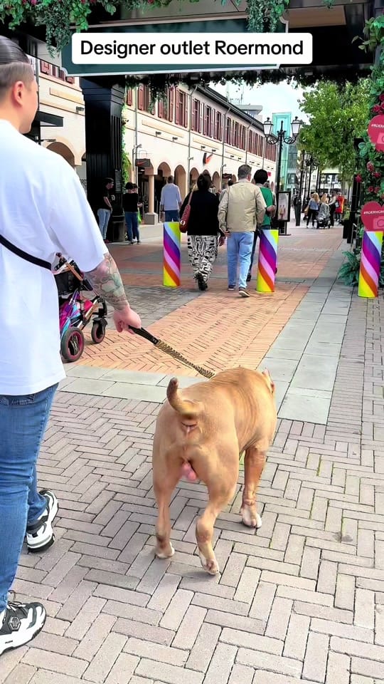 Post 8 by andybullylife on TikTok (video)