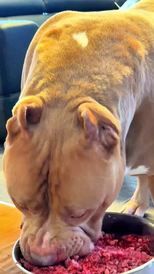 Post 6 by andybullylife on TikTok (video)