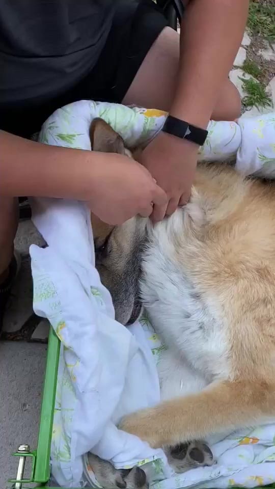 Post 10 by EZ Gny on TikTok (video)