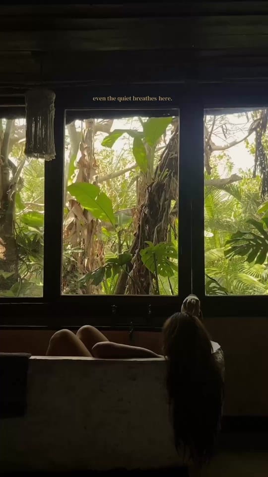 Post 6 by stella | pnw photographer on TikTok (video)