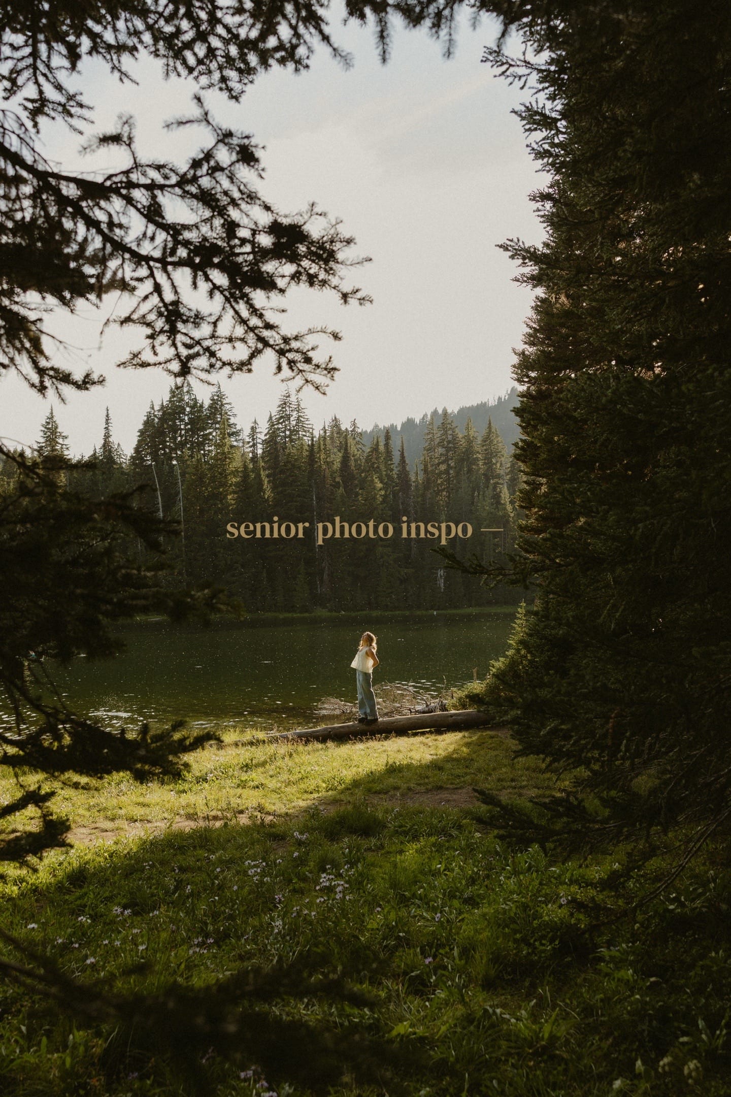 Post 1 by stella | pnw photographer on TikTok (video)