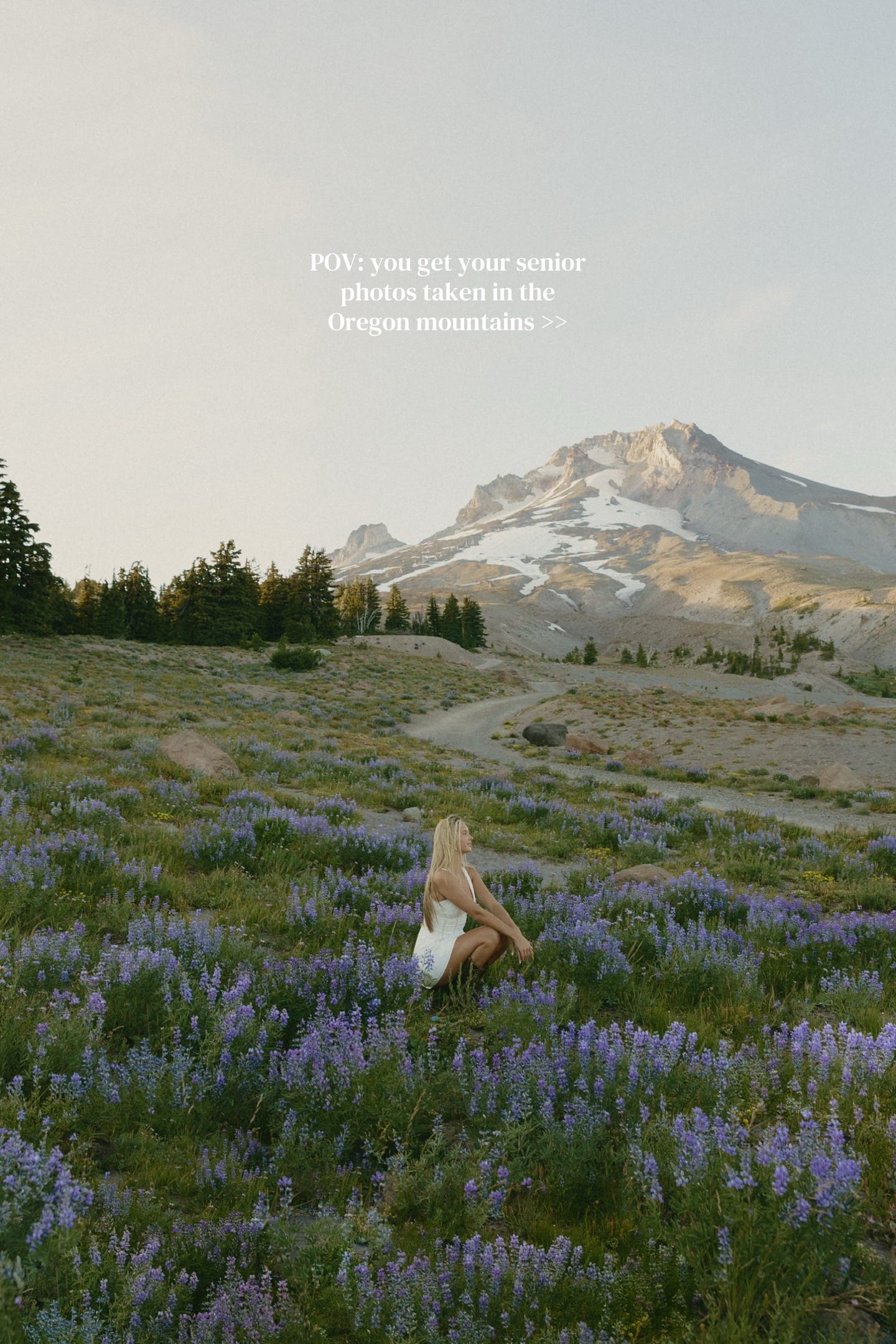Post 5 by stella | pnw photographer on TikTok (video)