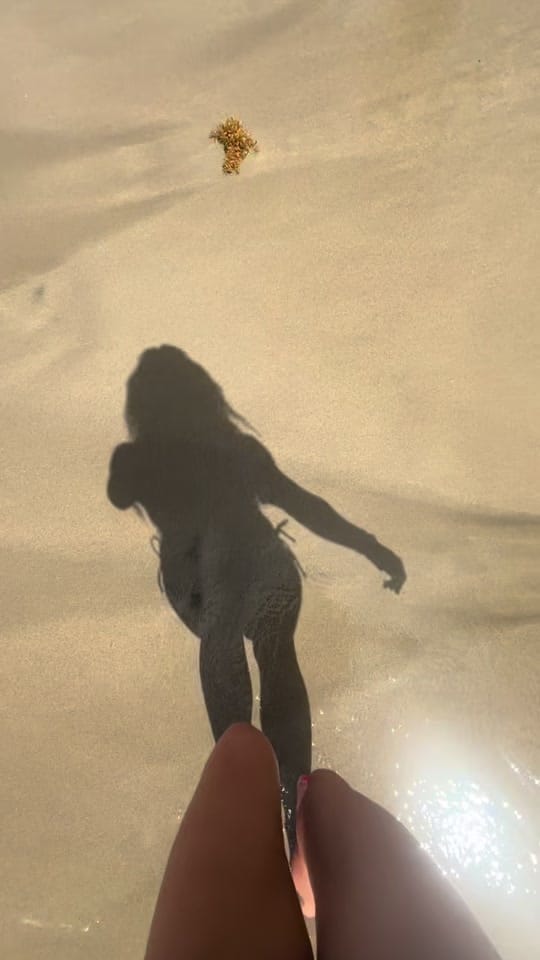 Post 3 by ellie peterson on TikTok (video)