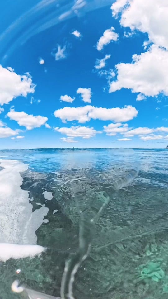 Post 5 by brebythesea on TikTok (video)