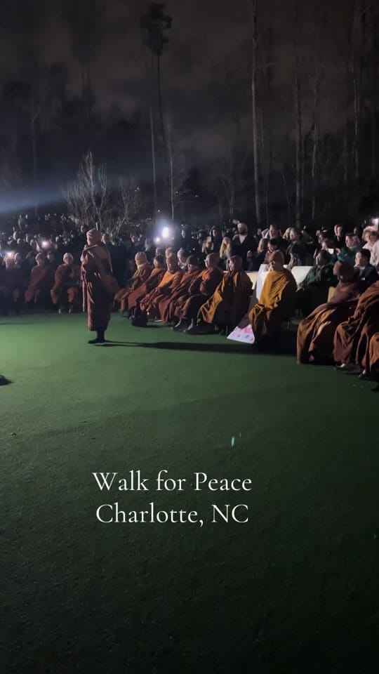 Post 8 by AmandaTravelRN on TikTok (video)