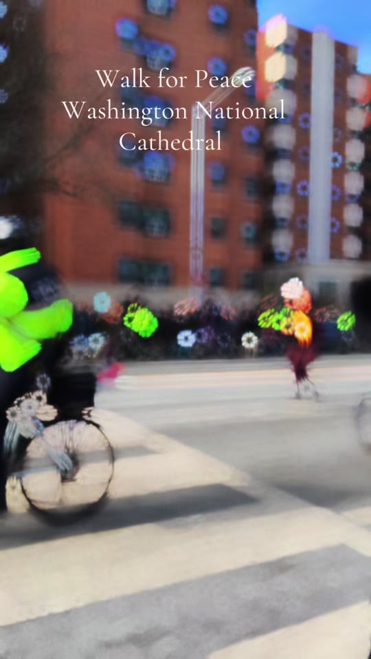 Post 5 by AmandaTravelRN on TikTok (video)