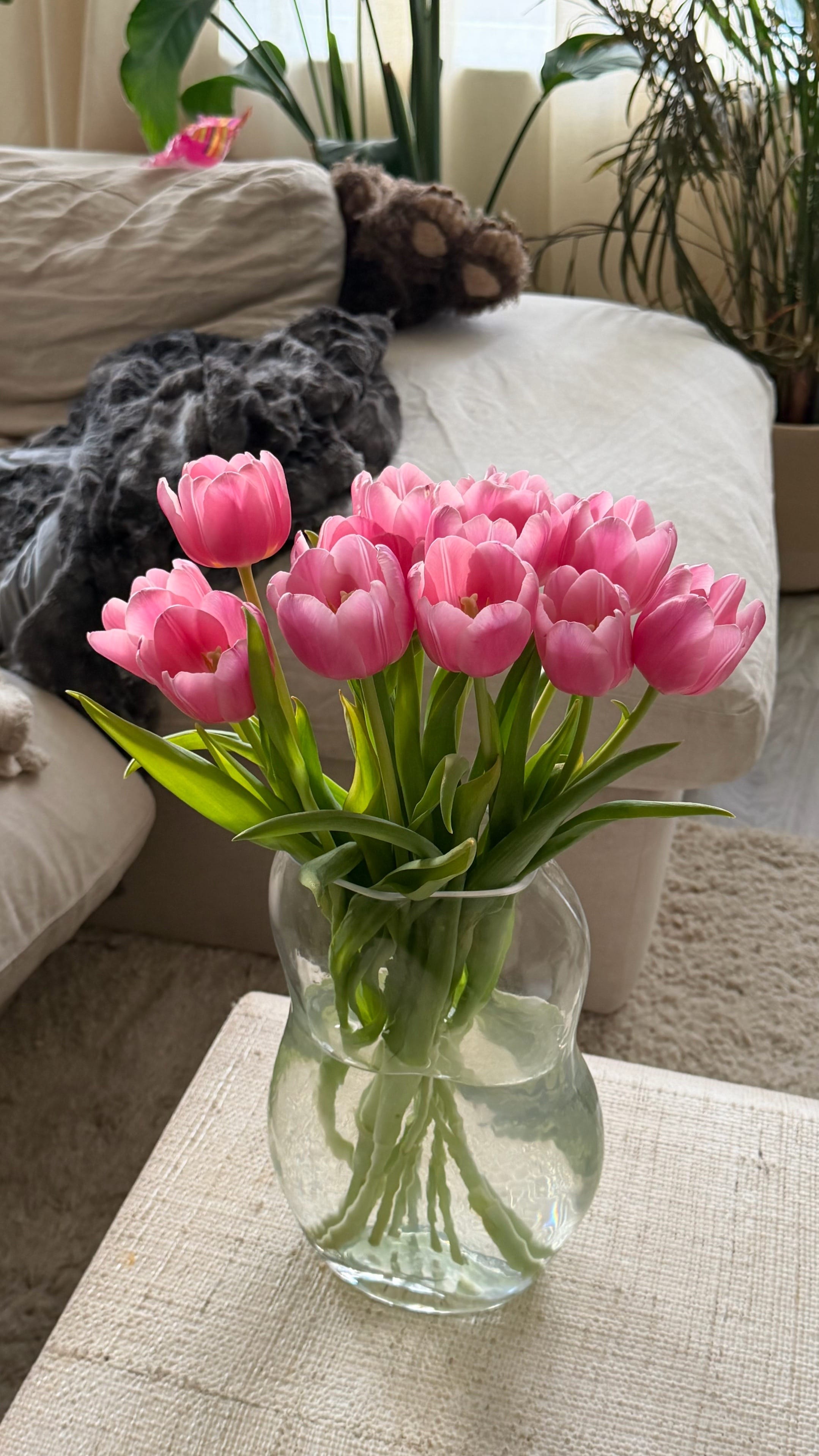 Post 2 by Lyddy on TikTok (video)