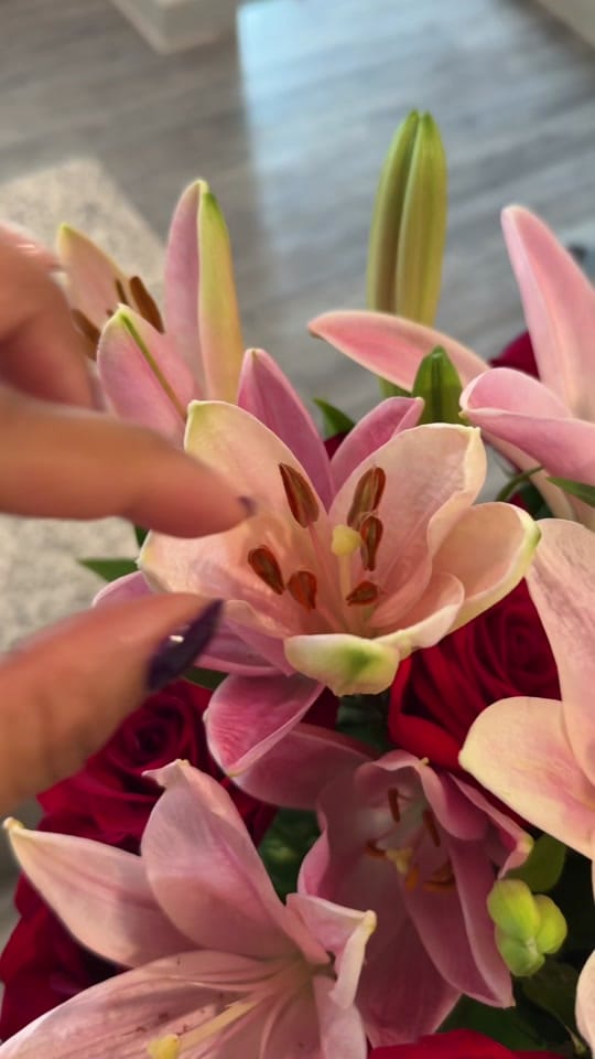 Post 2 by Aerial on TikTok (video)