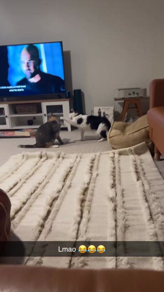 Post 4 by Aerial on TikTok (video)