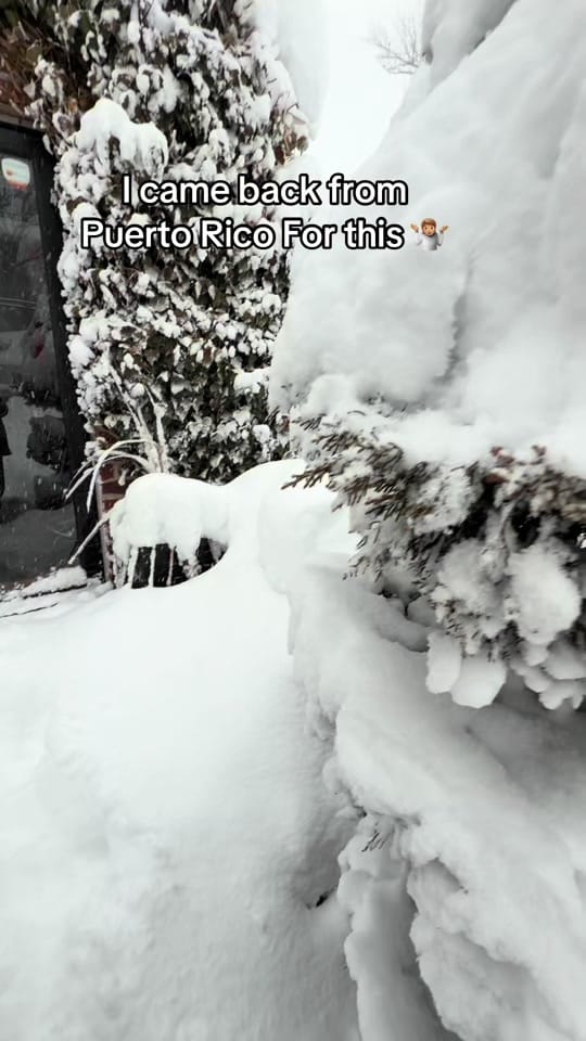 Post 6 by Real Streets Puerto Rico🇵🇷 on TikTok (video)