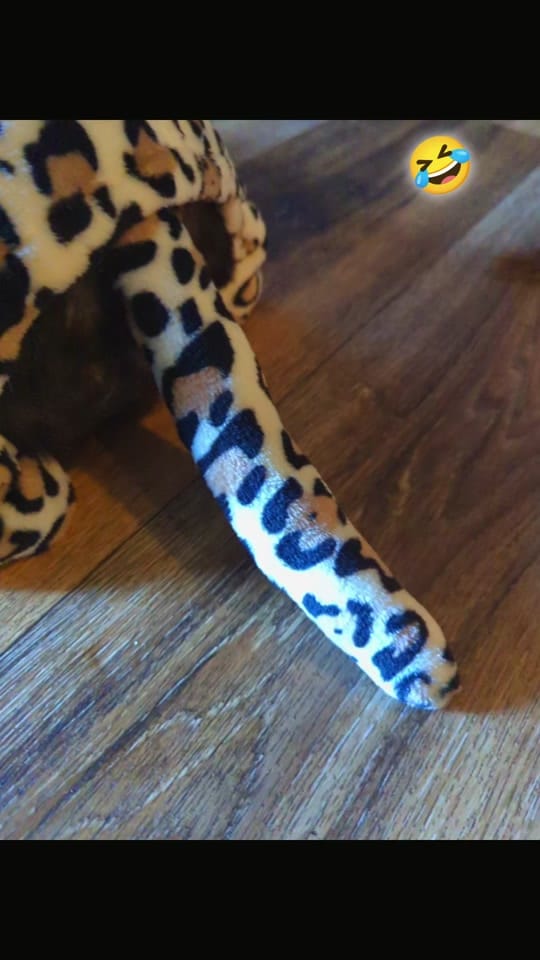 Post 9 by juliaE🖤 on TikTok (video)