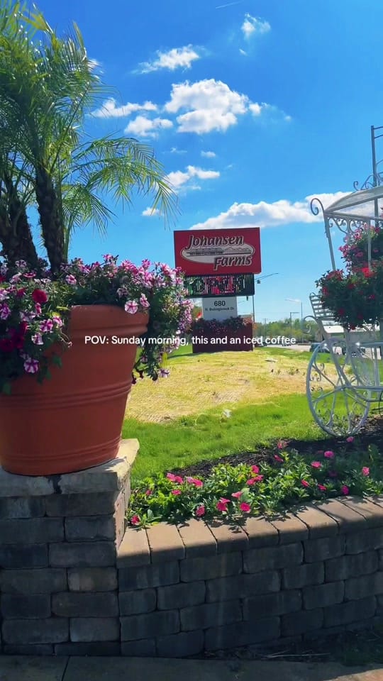 Post 6 by TANJA 🍒 on TikTok (video)