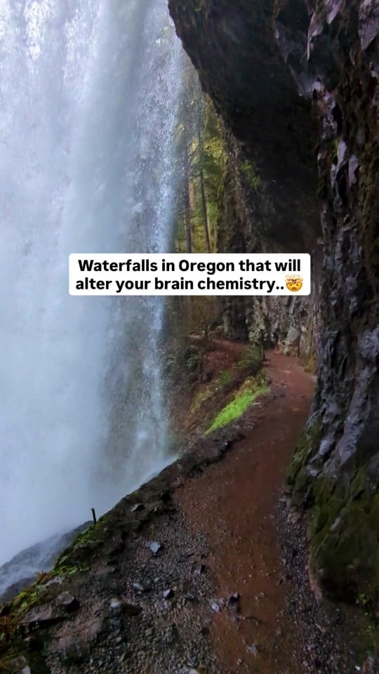 Post 6 by Nicole Sisson on TikTok (video)