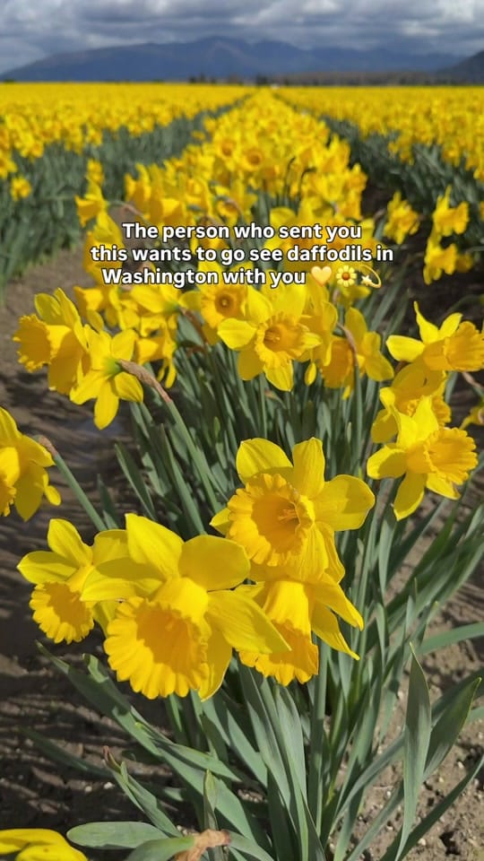 Post 7 by Nicole Sisson on TikTok (video)