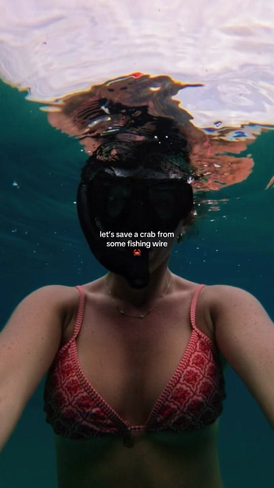 Post 4 by Hailey Shevitz on TikTok (video)