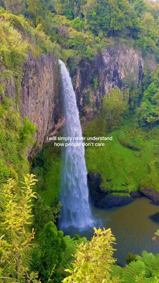 Post 9 by Hailey Shevitz on TikTok (video)