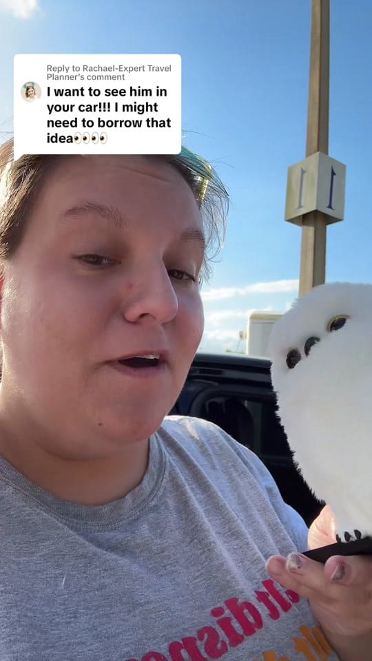 Post 6 by Dr. Kortney Lange on TikTok (video)