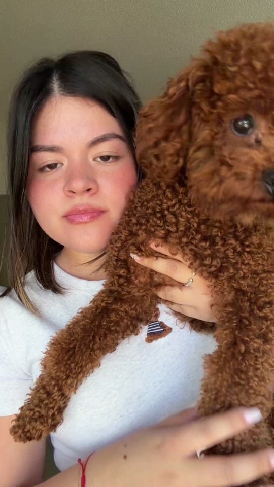 Post 1 by Valeria on TikTok (video)