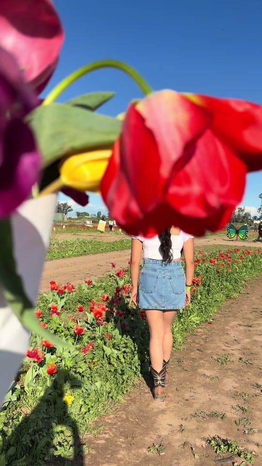 Post 3 by Brendaa on TikTok (video)