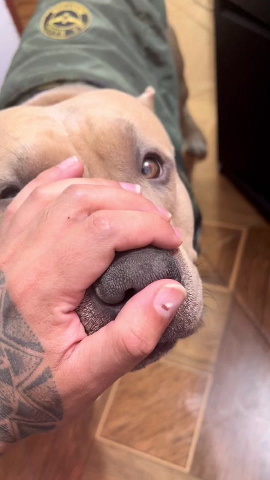 Post 10 by Vikingo606 on TikTok (video)