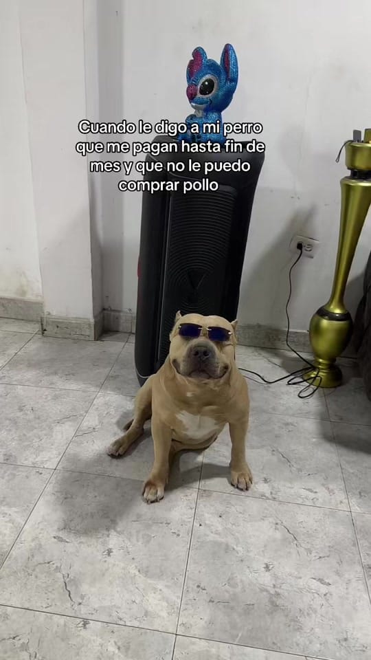 Post 5 by Vikingo606 on TikTok (video)