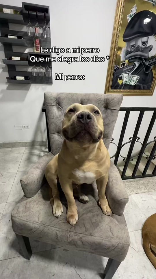Post 7 by Vikingo606 on TikTok (video)