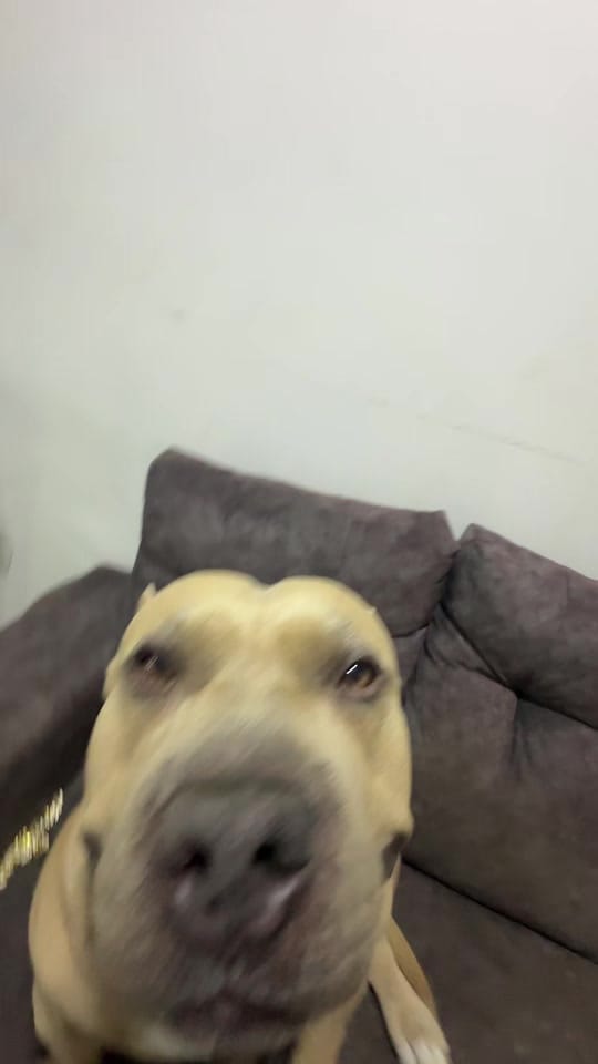 Post 2 by Vikingo606 on TikTok (video)