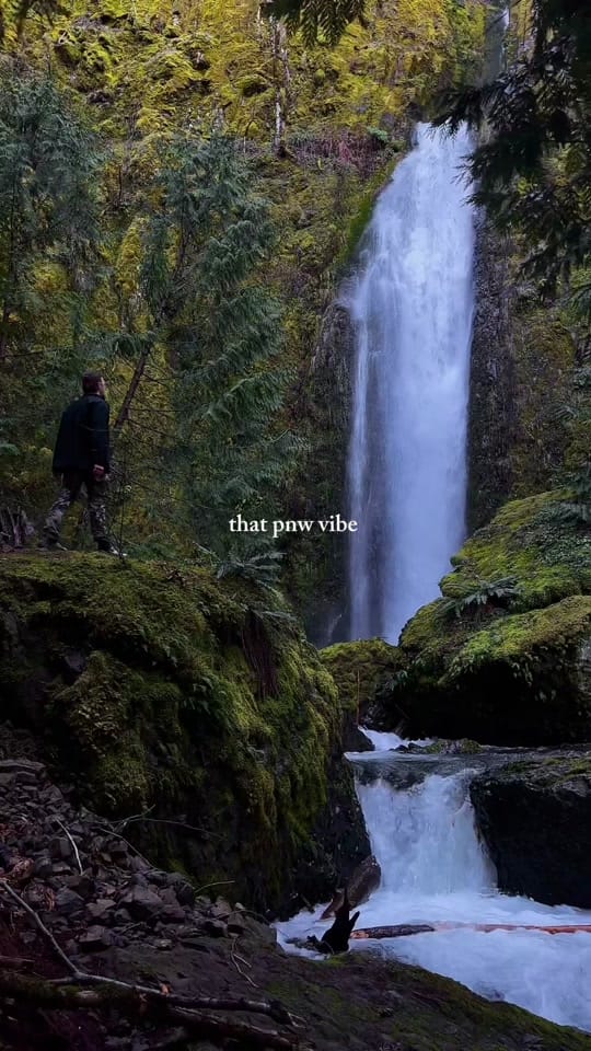 Post 7 by Daniel Valko on TikTok (video)