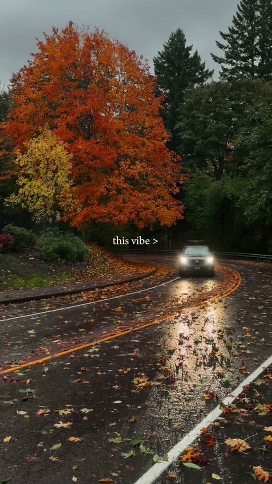 Post 8 by Daniel Valko on TikTok (video)