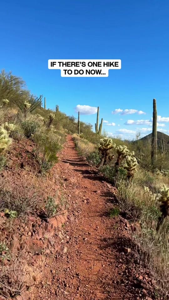 Post 2 by RickyRoams on TikTok (video)