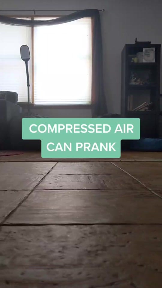 Post 9 by Domenic Maisto on TikTok (video)