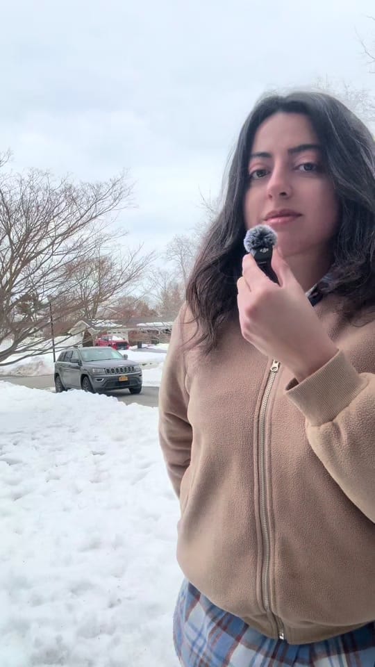 Post 2 by Miladafinds on TikTok (video)